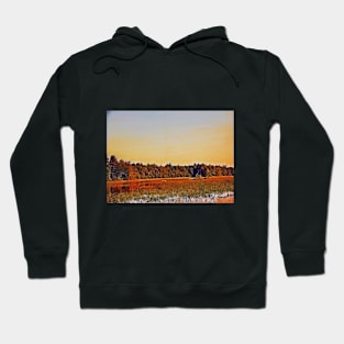 Maine Heatwave Hoodie